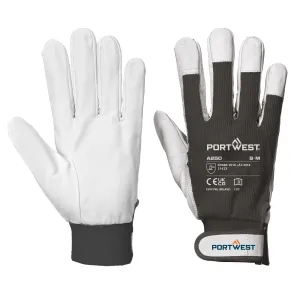 Tergsus Handschoen